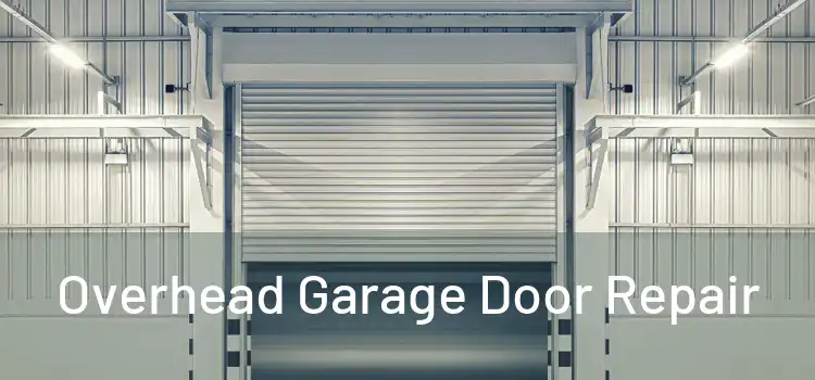  Overhead Garage Door Repair 